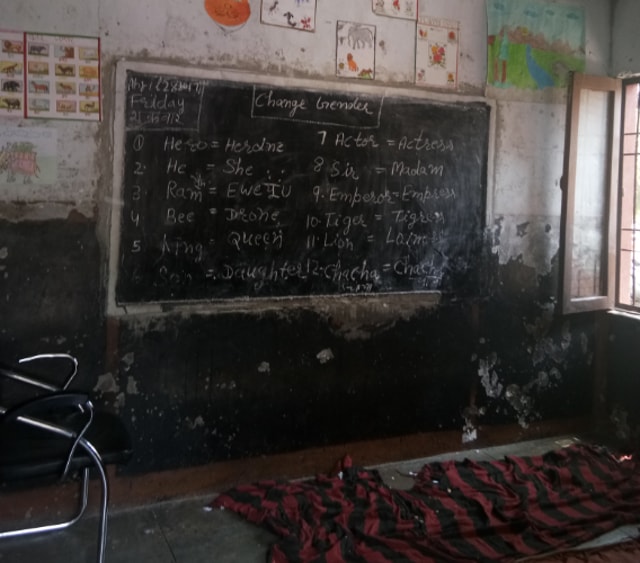 ‘Change gender’ exercise at government primary school, Mauli Complex, where equaivalent of ‘Lion’ is ‘Lioness’. (Sant Arora/HT Photo)