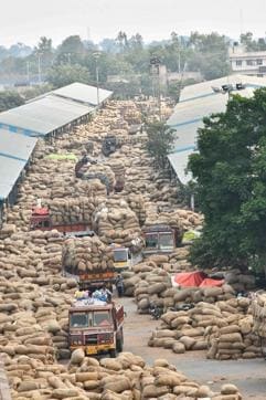 Sacks of chilli piling up at a market in Andhra Pradesh. (HT Photo) Sacks of chilli piling up at a market in Andhra Pradesh. (HT Photo)