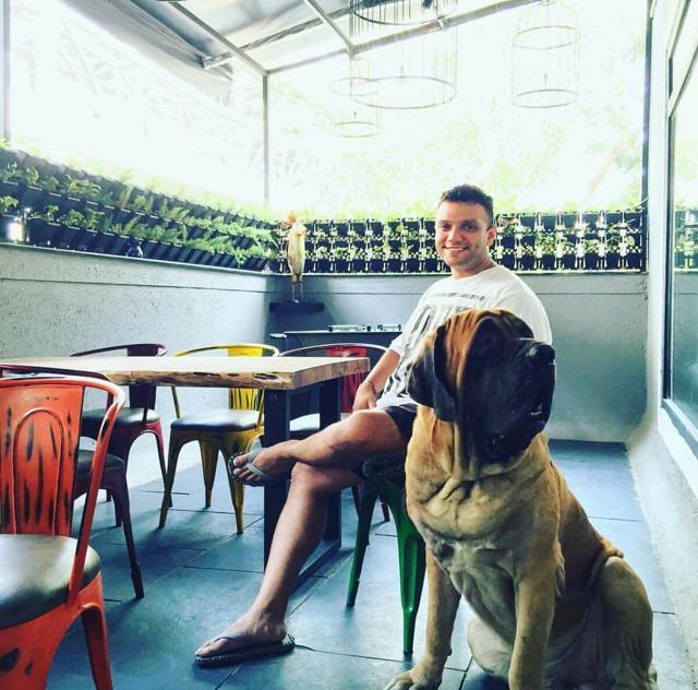 Nishant Joshi decided to start ZooBar, a pet-friendly restaurant, as there was a dearth of places he could visit with his mastiff in the city. Nishant Joshi decided to start ZooBar, a pet-friendly restaurant, as there was a dearth of places he could visit with his mastiff in the city.