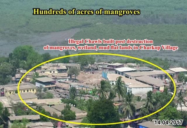 A picture showing illegal encroachment on the mangrove forests in Charkop. (REJI ABRAHAM) A picture showing illegal encroachment on the mangrove forests in Charkop. (REJI ABRAHAM)