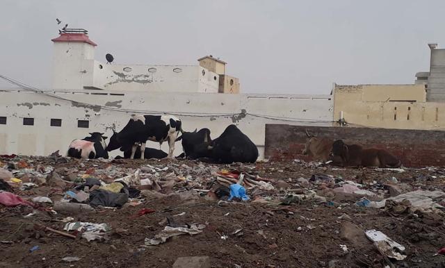A vacant plot turned into a dumping ground in Muktsar. (HT Photo) A vacant plot turned into a dumping ground in Muktsar. (HT Photo)