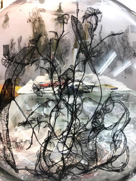 Fragile woven skeletons of pressed flowers, leaves and seeds float in glass vitrines, seemingly unaffected by gravity.