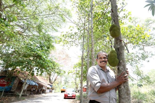 Vidhydharan says he has lost count of the number of saplings he has planted but believes it must have crossed 1 lakh mark. (HT Photo) Vidhydharan says he has lost count of the number of saplings he has planted but believes it must have crossed 1 lakh mark. (HT Photo)