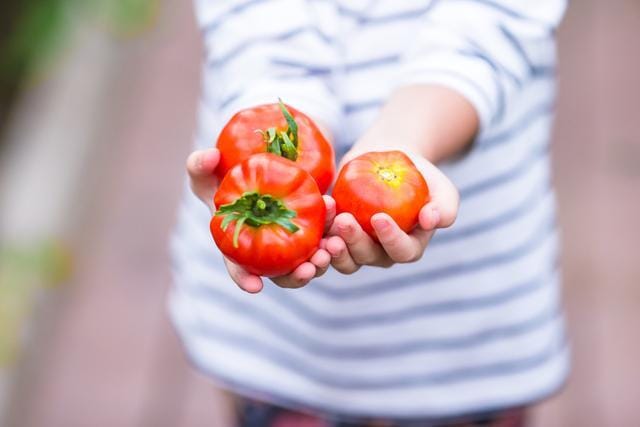 Infants on vegan diets are also at risk of protein and calcium malnutrition, a situation made worse because parents can be misled by milk supplements. (Shutterstock) Infants on vegan diets are also at risk of protein and calcium malnutrition, a situation made worse because parents can be misled by milk supplements. (Shutterstock)