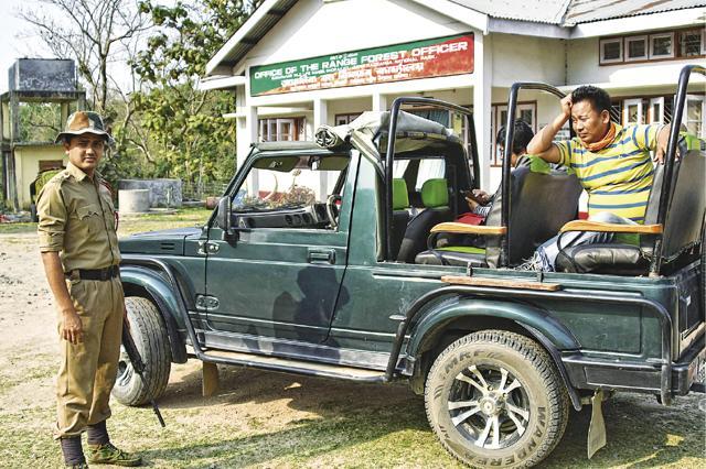 Our guide, Qutub, trying to spot a tiger. (Saubhadra Chatterji) Our guide, Qutub, trying to spot a tiger. (Saubhadra Chatterji)