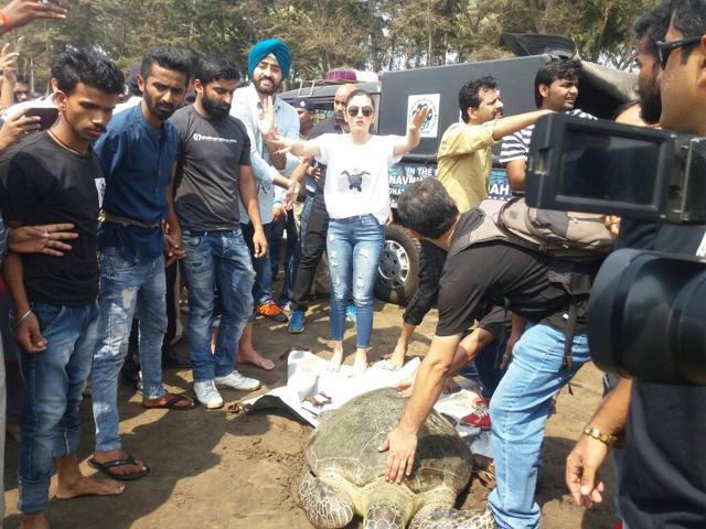 Alia Bhatt when the turtle is being released. (Dr Dinesh Vinherkar) Alia Bhatt when the turtle is being released. (Dr Dinesh Vinherkar)