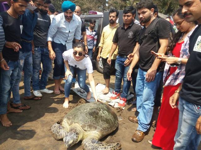 Alia Bhatt in action at Dahanu. (Dr Dinesh Vinherkar) Alia Bhatt in action at Dahanu. (Dr Dinesh Vinherkar)