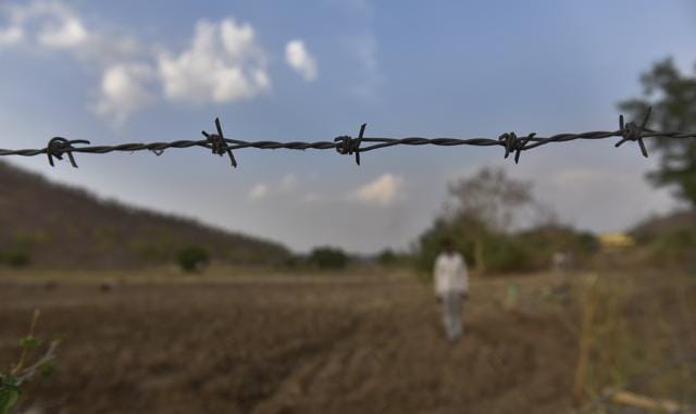 There’s a plan to build fences, dig trenches, to keep man and bear apart. Last month, the International Union for Conservation of Nature was invited to study the problem and suggest other ways forward (Anshuman Poyrekar / HT Photo)