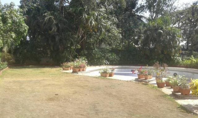The garden of the bungalow. (HT)
