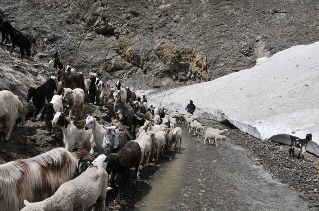 One way traffic is allowed from each side every alternate day because of extreme weather conditions with vehicles needed to cross Pir-Ki-Gali before late evening. (Waseem Andrabi/HT Photo) One way traffic is allowed from each side every alternate day because of extreme weather conditions with vehicles needed to cross Pir-Ki-Gali before late evening. (Waseem Andrabi/HT Photo)