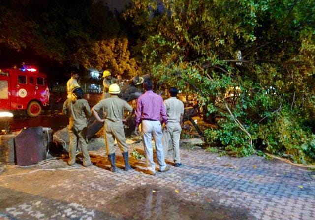 A tree that fell in Khan Market after Sunday evening’s thunderstorm and rainfall. (HT Photo) A tree that fell in Khan Market after Sunday evening’s thunderstorm and rainfall. (HT Photo)