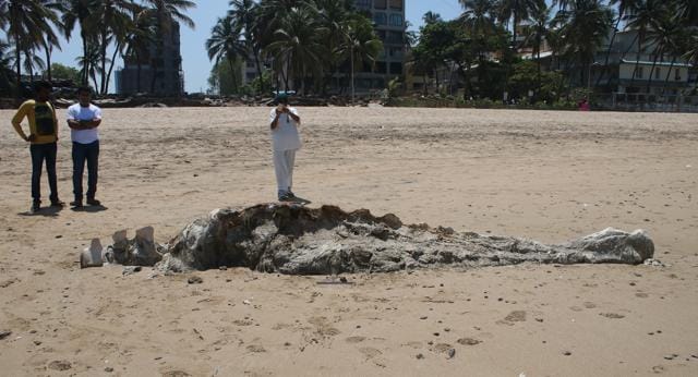 The 20-foot portion that washed ashore Juhu beach on Sunday. (HT) The 20-foot portion that washed ashore Juhu beach on Sunday. (HT)