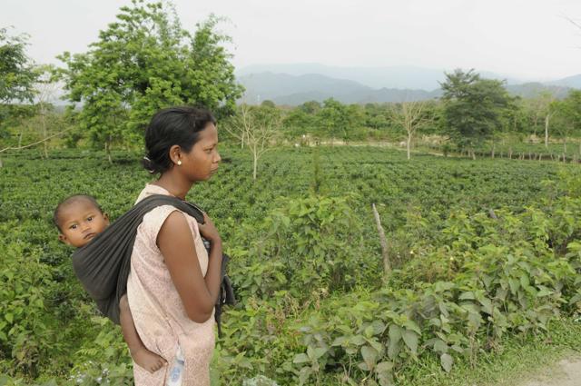 Naxalbari is cradled by the Himalayas and still battles poverty. (Samir Jana/HT PHOTO) Naxalbari is cradled by the Himalayas and still battles poverty. (Samir Jana/HT PHOTO)