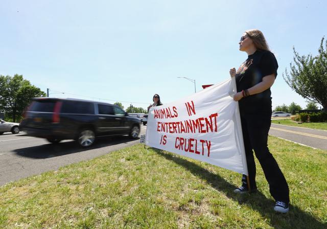 Members of PETA - People for the Ethical Treatment of Animals -- picket on the final day of the Ringling Bros Barnum and Bailey Circus in Uniondale, New York. (AFP Photo) Members of PETA - People for the Ethical Treatment of Animals -- picket on the final day of the Ringling Bros Barnum and Bailey Circus in Uniondale, New York. (AFP Photo)