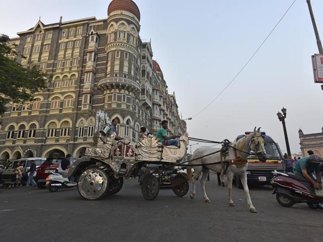 A man takes a ride on Victoria in Mumbai. (HT File) A man takes a ride on Victoria in Mumbai. (HT File)