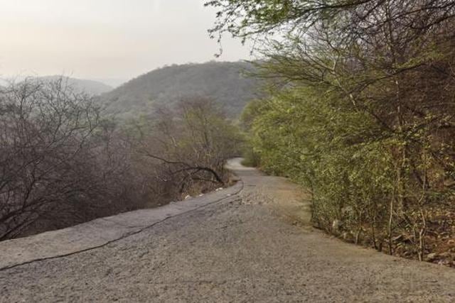 View of the Mangarbani valley (Sanjeev Verma/HT PHOTO) View of the Mangarbani valley (Sanjeev Verma/HT PHOTO)