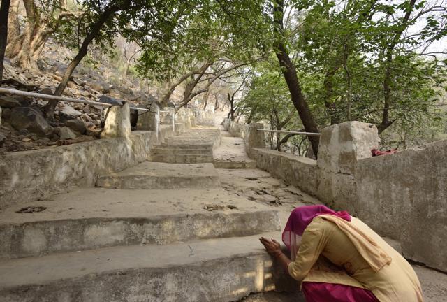 The Mangarbani forest is considered a sacred grove by locals. (Sanjeev Verma/HT Photo) The Mangarbani forest is considered a sacred grove by locals. (Sanjeev Verma/HT Photo)