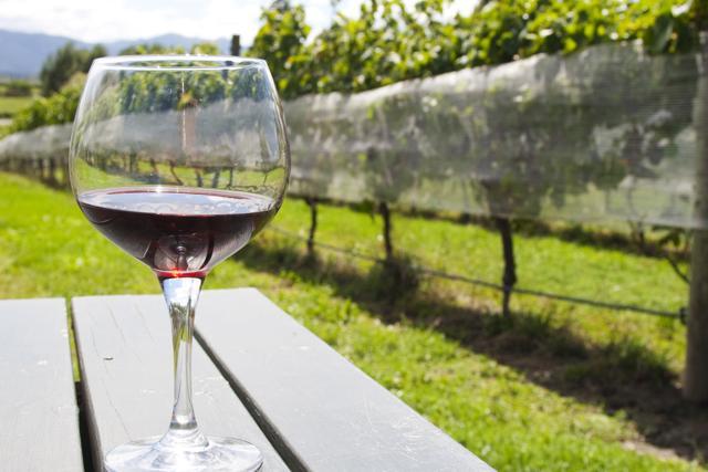 The valleys of the Cape Fold range of parallel mountains house several wine routes dotted with charming historic towns. (Photo: Istock) The valleys of the Cape Fold range of parallel mountains house several wine routes dotted with charming historic towns. (Photo: Istock)