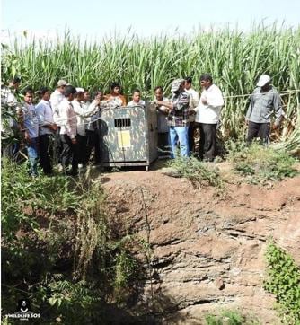 The trap cage used to rescue the animal. (Wildlife SOS) The trap cage used to rescue the animal. (Wildlife SOS)