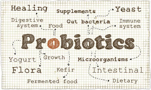 Studies show probiotic products have psychological benefits as well. (Shutterstock) Studies show probiotic products have psychological benefits as well. (Shutterstock)