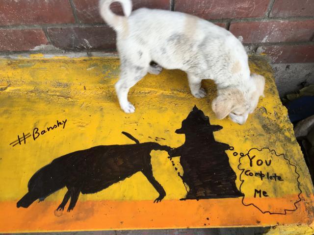 The brick and mortar dog shelters were built when Shivam took help of two labourers, working behind Patel Chest Hospital.
