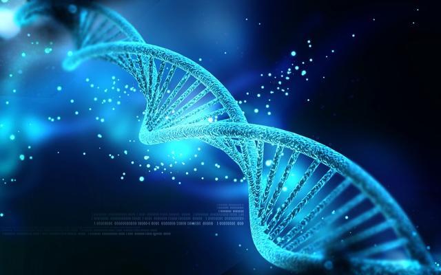 The findings can help scientists better understand and treat a range of conditions involving memory impairment. (Shutterstock)