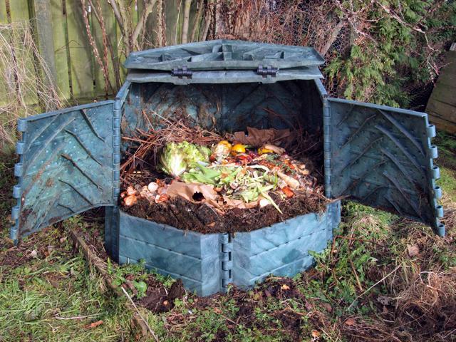 Vegetable and fruit peels can be turned into compost. (Representational photo) (Istock ) Vegetable and fruit peels can be turned into compost. (Representational photo) (Istock )