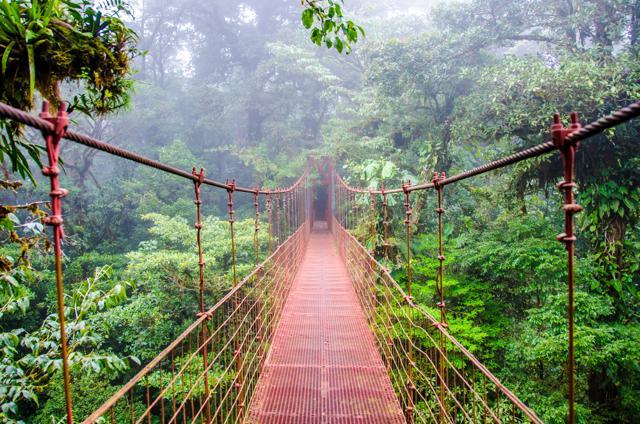 Bridge in a rainforest, Costa Rica (Shutterstock) Bridge in a rainforest, Costa Rica (Shutterstock)