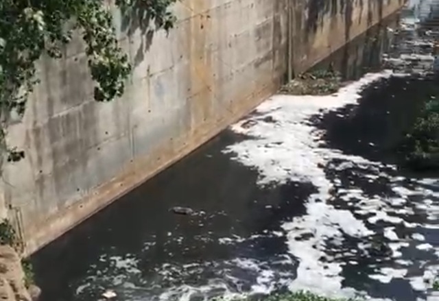 The toxic foam on the surface of the Mithi river. (HT Photo) The toxic foam on the surface of the Mithi river. (HT Photo)