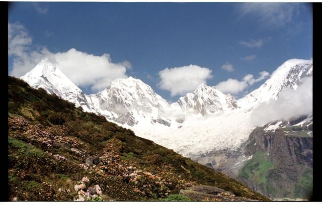 Rhododenrons against the stunning backdrop of the Panchchuli peaks, a group of five snow-capped Himalayan peaks, Darma valley, Pithoragarh district (Anup Sah) Rhododenrons against the stunning backdrop of the Panchchuli peaks, a group of five snow-capped Himalayan peaks, Darma valley, Pithoragarh district (Anup Sah)