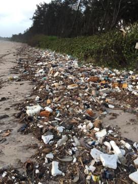 Kihim Beach before residents conducted a clean-up. (HT Photo) Kihim Beach before residents conducted a clean-up. (HT Photo)