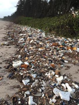 Kihim Beach has accumulated a lot of waste over the years. (HT PHOTO)