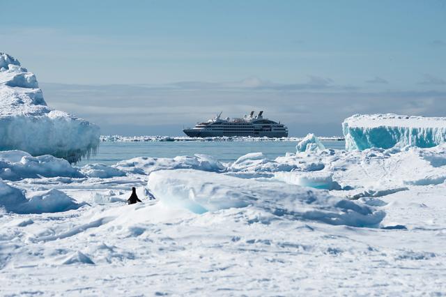Enjoy crystal clear polar water between whales in one direction and mountains in the other, while paddle-boating standing up. (www.thewhitecontinent.com) Enjoy crystal clear polar water between whales in one direction and mountains in the other, while paddle-boating standing up. (www.thewhitecontinent.com)