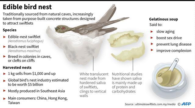 Here's why edible nests made of bird spit are a delicacy in China
