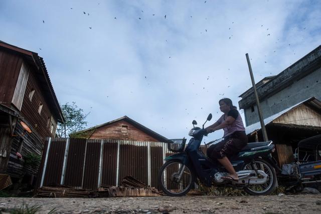 A woman riding a motorcycle as swiftlets fly in Bokpyin township, Tanintharyi Region in southeastern Myanmar. (AFP) A woman riding a motorcycle as swiftlets fly in Bokpyin township, Tanintharyi Region in southeastern Myanmar. (AFP)