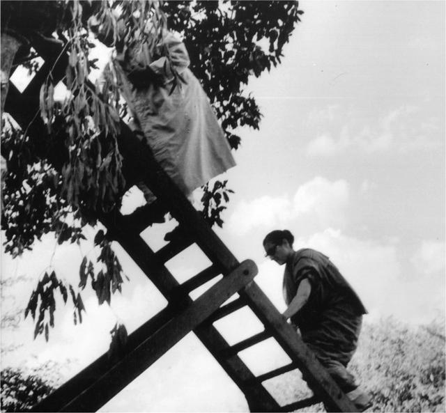 Jawaharlal Nehru and Indira Gandhi watching lions in Gir, Gujarat; November 1955 (Courtesy Indira Gandhi: A Life in Nature) Jawaharlal Nehru and Indira Gandhi watching lions in Gir, Gujarat; November 1955 (Courtesy Indira Gandhi: A Life in Nature)