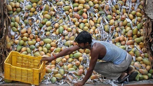 Researchers said supplementing people’s diets with vitamin A may help prevent TB. (Reuters) Researchers said supplementing people’s diets with vitamin A may help prevent TB. (Reuters)