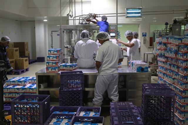 Workers work in a dairy factory in Doha, Qatar. (REUTERS) Workers work in a dairy factory in Doha, Qatar. (REUTERS)