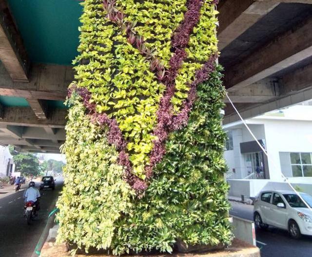 Vertical garden wrap the pillars of the metro station - one of the unique initiatives of the project. These gardens will be fuelled by compost generated by municipal waste collected in the city. (Twitter/ Venkaiah Naidu) Vertical garden wrap the pillars of the metro station - one of the unique initiatives of the project. These gardens will be fuelled by compost generated by municipal waste collected in the city. (Twitter/ Venkaiah Naidu)