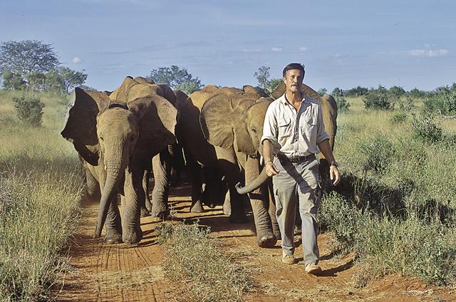 Scott walks with elephants in Masaai Mara. (Jonathan Scott) Scott walks with elephants in Masaai Mara. (Jonathan Scott)