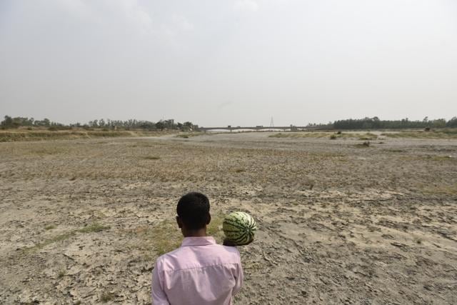 The Mallahs lease land on the river bank from the Panchayat to grow watermelons, cucumber, bottle-gourd and muskmelon. But with the river drying, the Mallahs are in danger of losing their crops. (Burhaan Kinu/HT PHOTO) The Mallahs lease land on the river bank from the Panchayat to grow watermelons, cucumber, bottle-gourd and muskmelon. But with the river drying, the Mallahs are in danger of losing their crops. (Burhaan Kinu/HT PHOTO)