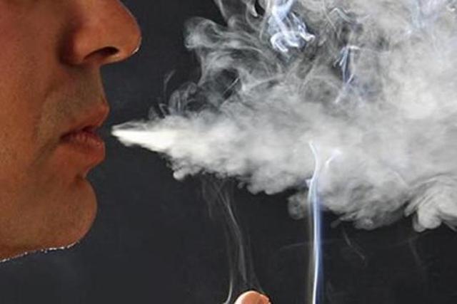 It is best not to smoke in front of young children. It is best not to smoke in front of young children.