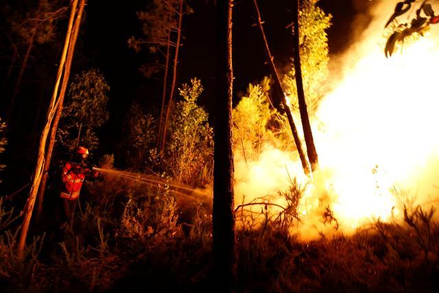 Firefighters work to put out a forest fire near Bouca, in central Portugal, June 18, 2017. (Reuters Photo) Firefighters work to put out a forest fire near Bouca, in central Portugal, June 18, 2017. (Reuters Photo)