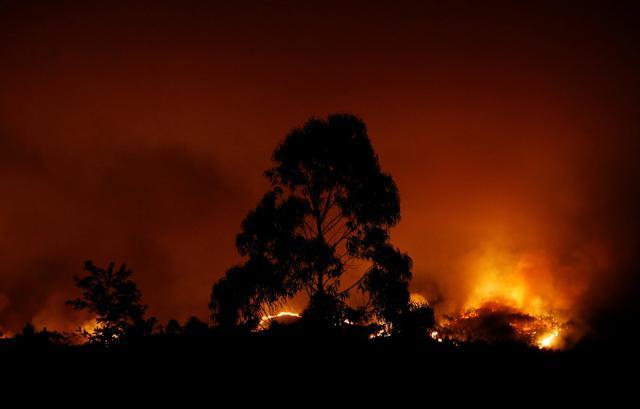 A forest fire is seen near Tojeira, Pedrogao Grande, in central Portugal. (Reuters Photo) A forest fire is seen near Tojeira, Pedrogao Grande, in central Portugal. (Reuters Photo)