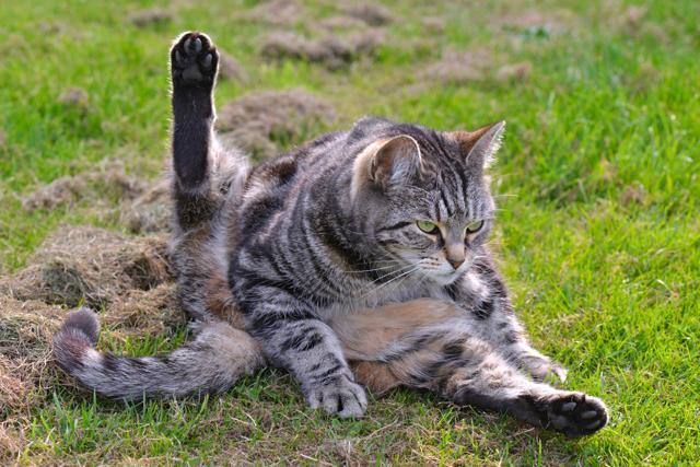 Someone looks motivated. (Shutterstock) Someone looks motivated. (Shutterstock)