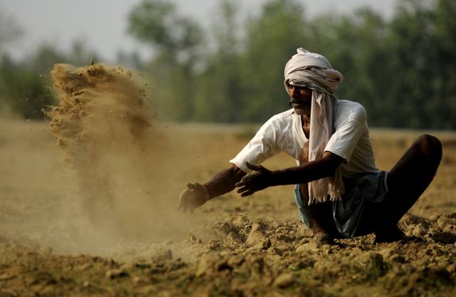 Potato farmer Kishan at his field in Bandi ka Purva village in Barabanki. (Deepak Gupta/HT Photo) Potato farmer Kishan at his field in Bandi ka Purva village in Barabanki. (Deepak Gupta/HT Photo)