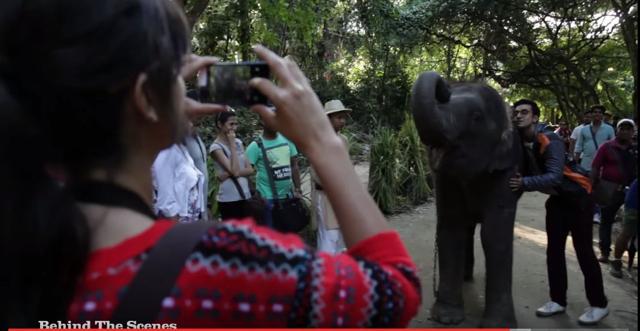 Katrina clicks a picture of Ranbir and the elephant.