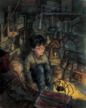 Harry Potter - the Boy who Lived. (Courtesy: Pottermore) Harry Potter - the Boy who Lived. (Courtesy: Pottermore)