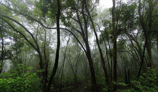 Make the most of Mumbai’s monsoons: 10 dream trekking trails through ...