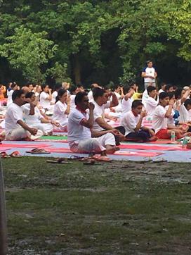 People take part in Yoga Day celebrations at India Gate. (HT Photo) People take part in Yoga Day celebrations at India Gate. (HT Photo)